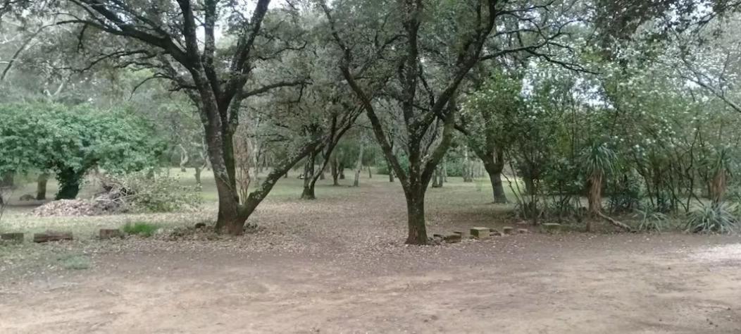 Tente Safari Au Pont Du Gard Vers Pont du Gard Kültér fotó